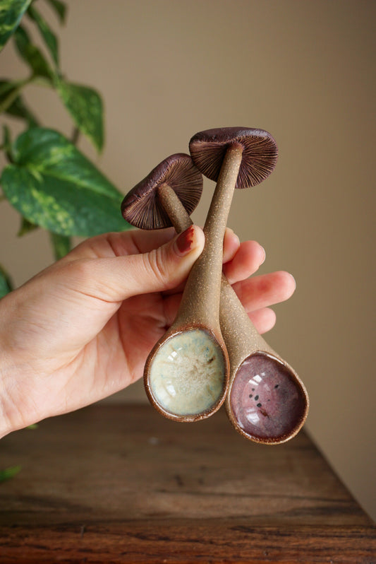 Mushroom Scoops | Hazelnut