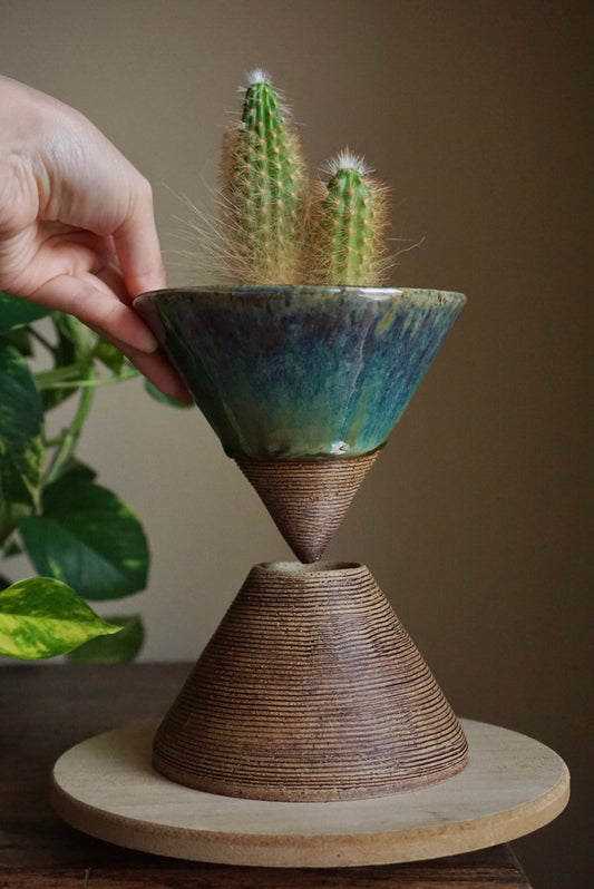 Rainforest | Cone Planter