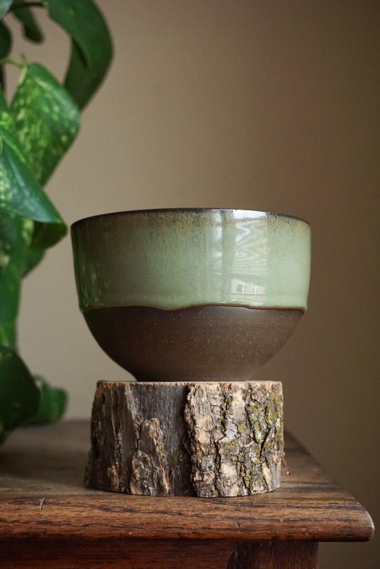 Lichen | Snack Bowl